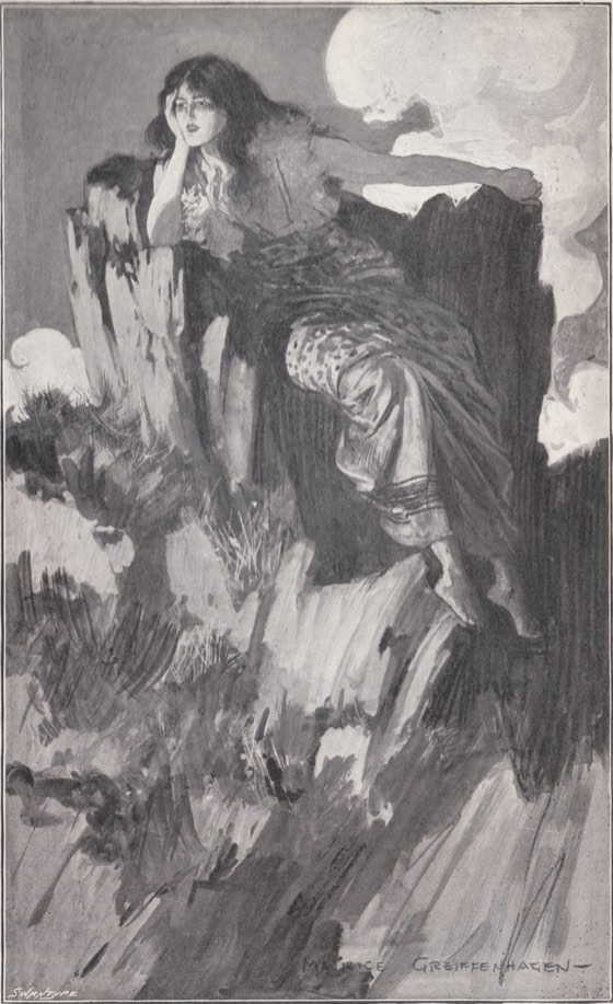 Swallow - 1st UK Edition